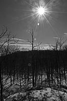 Miscellaneous Photography Thread-csc_0070.jpg
