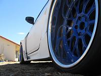 Just a quick shot of my Lady-2.jpg