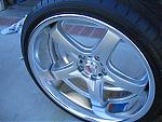 help please-img_7571.jpg