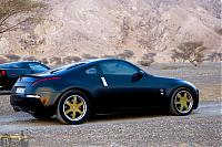 the black into gold-z1.jpg