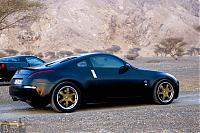 the black into gold-dsc000179copyeb3-copy.jpg