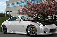 My first photoshop...-img_0288_white.jpg