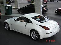 help please-tint.jpg