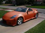 Paint request on a Z-white.jpg