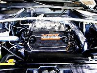 Vrt.... :-(-vrtttfx-2.jpg