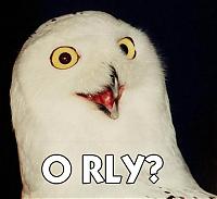 Vrt.... :-(-orly.jpg