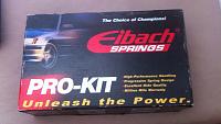 Eibach Pro Kit &amp; SPC Rear Camber/Toe Bolt Kit-img_3943.jpg