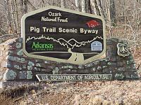 Pig Trail-01_pigtr.jpg