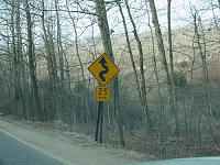 Pig Trail-02_pigtr.jpg