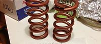 16k Swift Springs-photo-3-.jpg