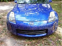 Lovebug season (Florida)-pic1.jpg