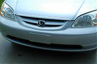 Orlando Z owners-bug-removal-4.jpg