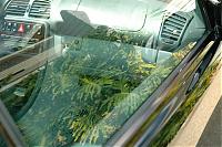 Orlando Z owners-detaililng-pics-ozoc-039.jpg