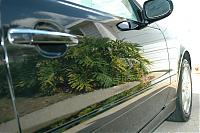 Orlando Z owners-detaililng-pics-ozoc-040.jpg