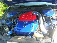 South Florida Meet 7/28-dscn2808-2-.jpg