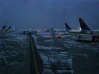 Nothing to complain in South Florida-img00057-20090203-1724.jpg