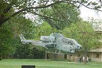 Look at what was in my front yard this morning......-cobra.jpg