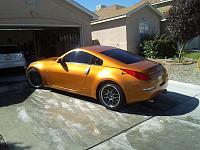New in New Mexico-z4.jpg