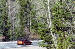 1st Annual Mudd Run to the Hills-image5.jpg