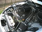 Feeler:  Stillen stage 3 s/c and carbon fiber hood-img_0128.jpg
