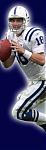 If u want to crown them, then crown their asses..........-peytonmanning18.jpg