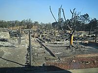 Sylmar Fires and whats left of my house-img_2996.jpg