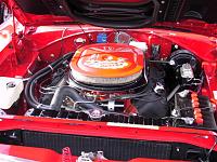New Year's Day Run???-untitled-12-small-.jpg