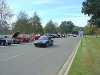 New Year's Day Run???-group.jpg