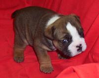 San Diego GTGs.....-norm_3weeks.jpg
