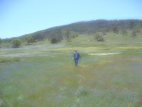 Mom's Day Palomar/Julian Mountain Drive-softflowermom.jpg