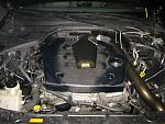 NEW pics of my project-engine-bay-front-pic.jpg