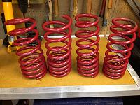 Koni Yellows, Sportlines.-sportlines.jpg