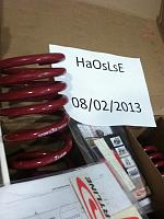 Eibach Sportlines-img_1438-598x800-.jpg