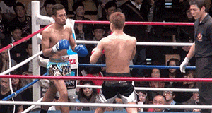 KW Coilovers on SUPER SALE! @THMotorsports!!!-cdxsji5.gif