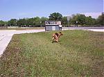 CZOT Lockhart/Texas Auto Museum cruise pics and discussion!-picture-004.jpg