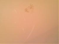 Well I'm a victim, car got broken into last night.-pic-0071.jpg