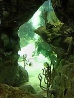 Dallas World Aquarium-img_0997.jpg