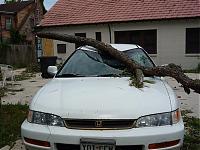 Prep for Ike...-owned-honda.jpg
