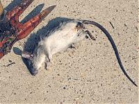 New photos of Wheels-img_3112.jpg