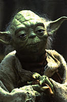 DFW's Lounge-yoda2.jpg