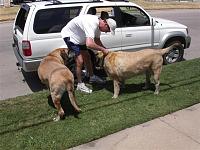 bikini car wash July 26-pict0001-small-.jpg