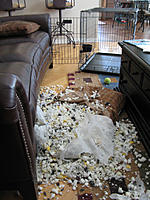 DFW's Lounge-img_4324.jpg