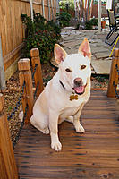 DFW's Lounge-img_3952.jpg