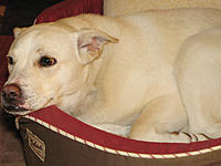 DFW's Lounge-img_3944.jpg