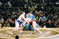Ever wanted to go to JAPAN?-painter-r2-000-e.jpg