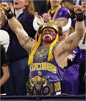 RGV(Brownsville - Harlingen - Mcallen)-vikingfan.jpg