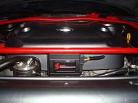 RGV(Brownsville - Harlingen - Mcallen)-dsc02271.jpg