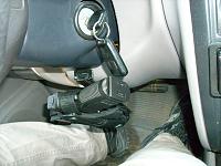 Spotted thread ... ( i see you )-steer-con.jpg