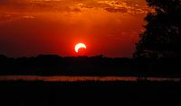 DFW's Lounge-eclipse_2012.jpg