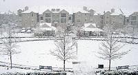 snowwwwwwwwwwwwww-vc1.jpg